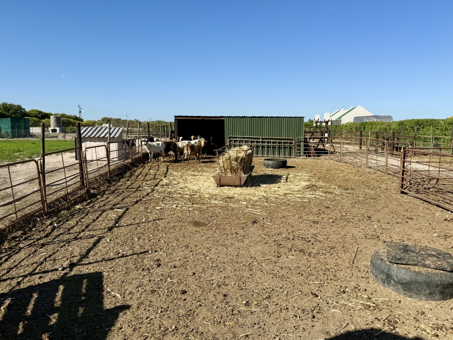 8 Bedroom Property for Sale in Long Acres Country Estate Western Cape